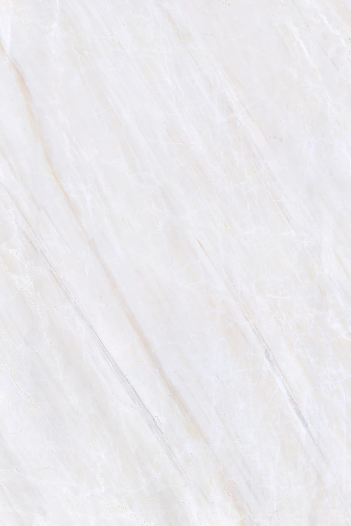 CARNOT CORE_02