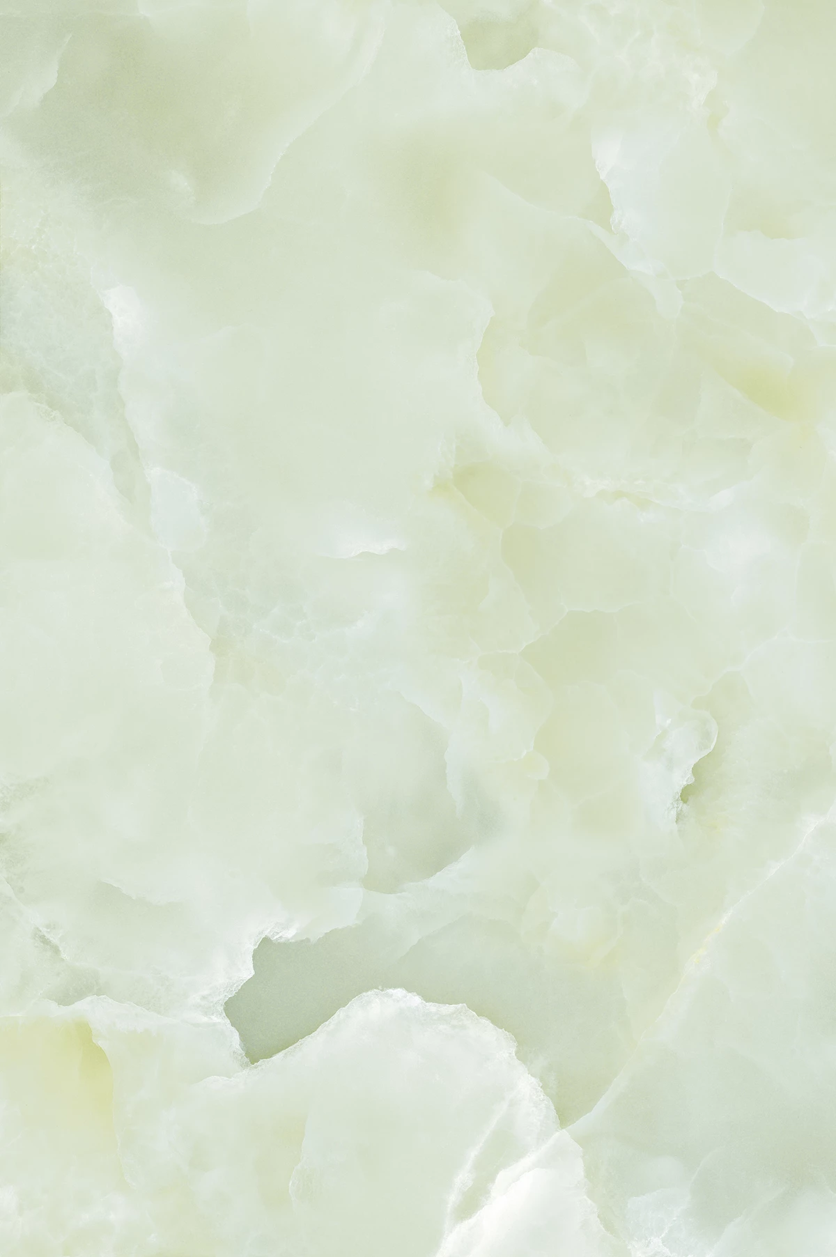 ETOILE GREEN_03