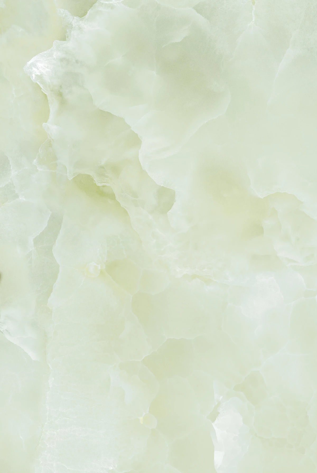 ETOILE GREEN_02