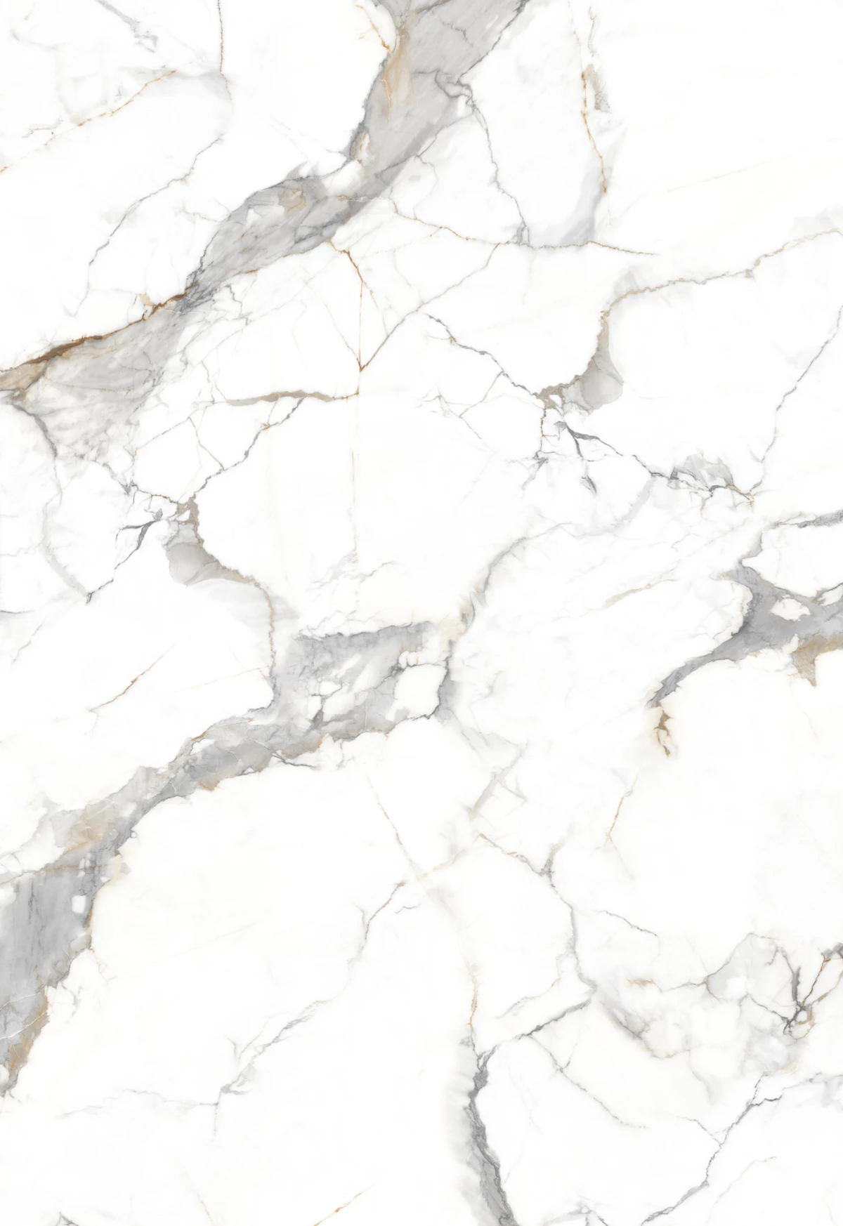 FLAIR WHITE_03