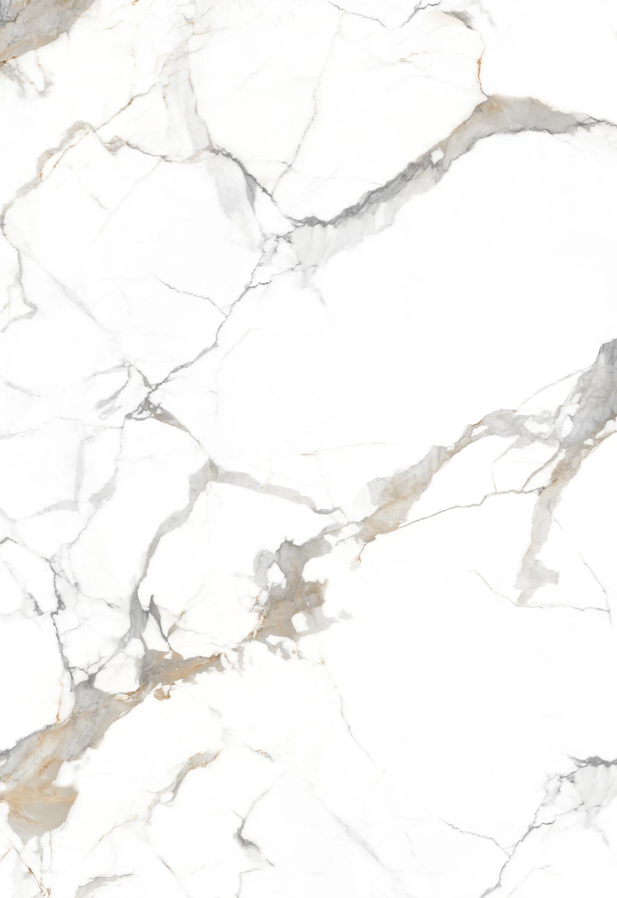 FLAIR WHITE_02