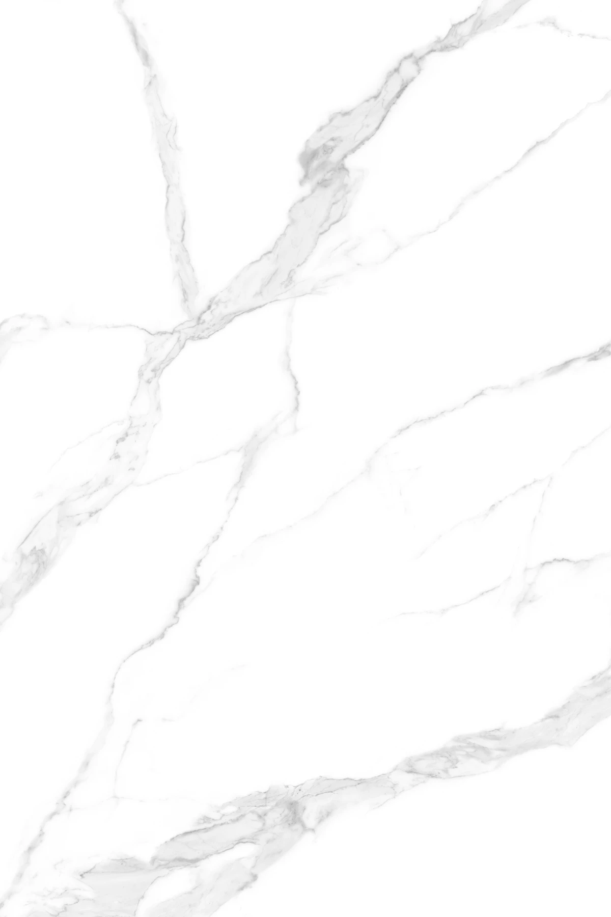 GRISIAL GREY_02