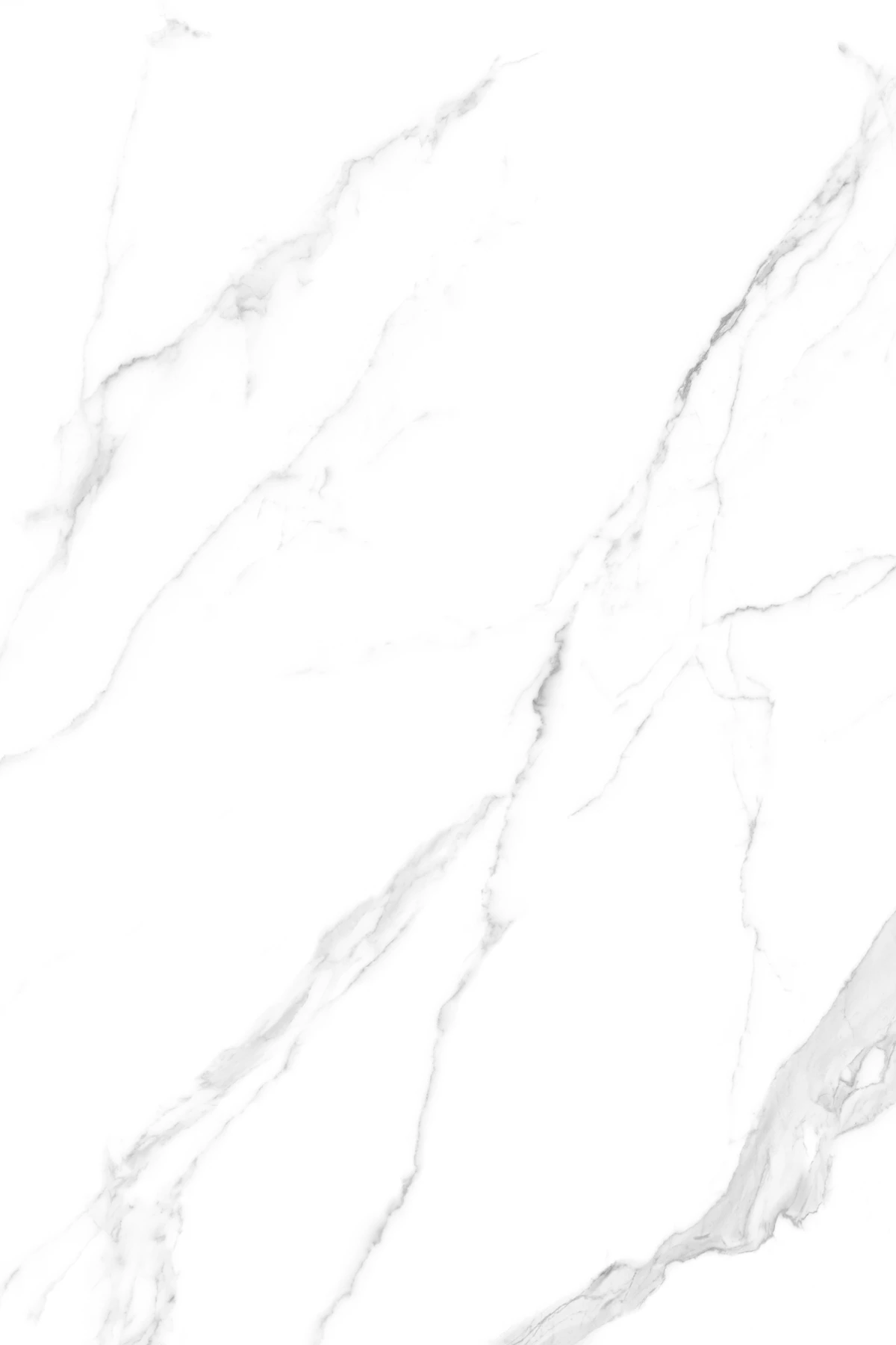 GRISIAL GREY_04