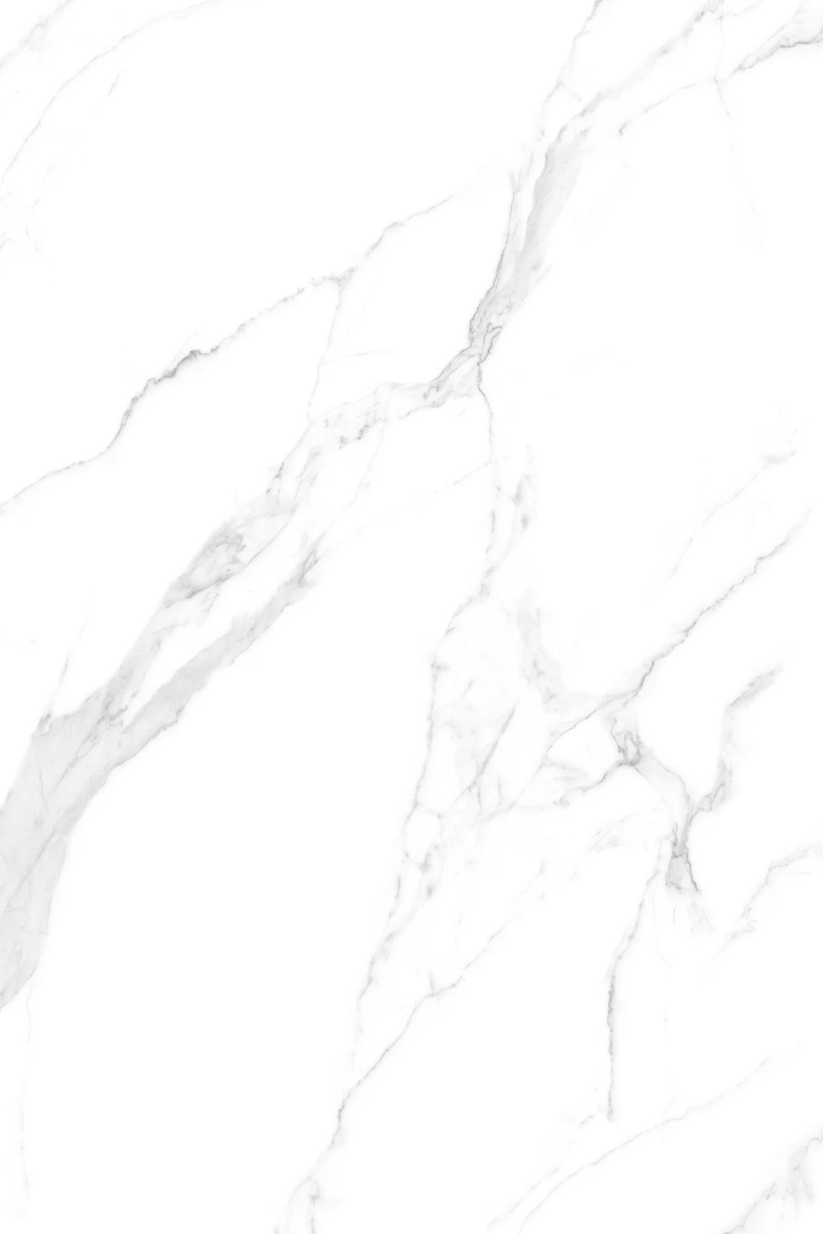 GRISIAL GREY_03