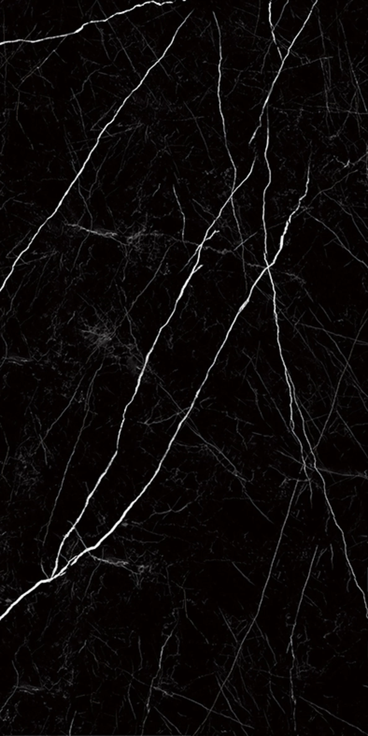 NERO MARQUINA_F2