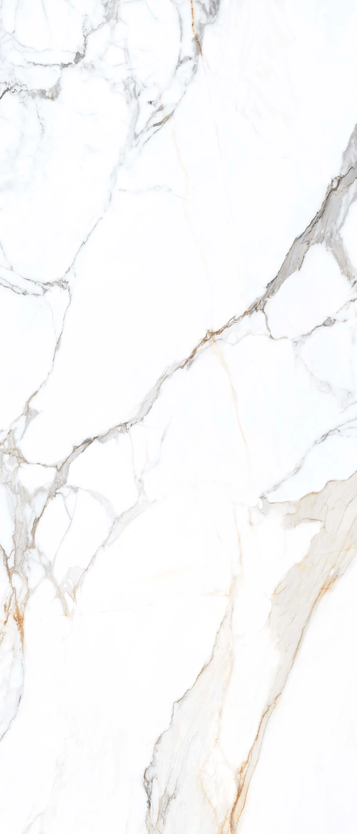 Calacatta Belisimo F1