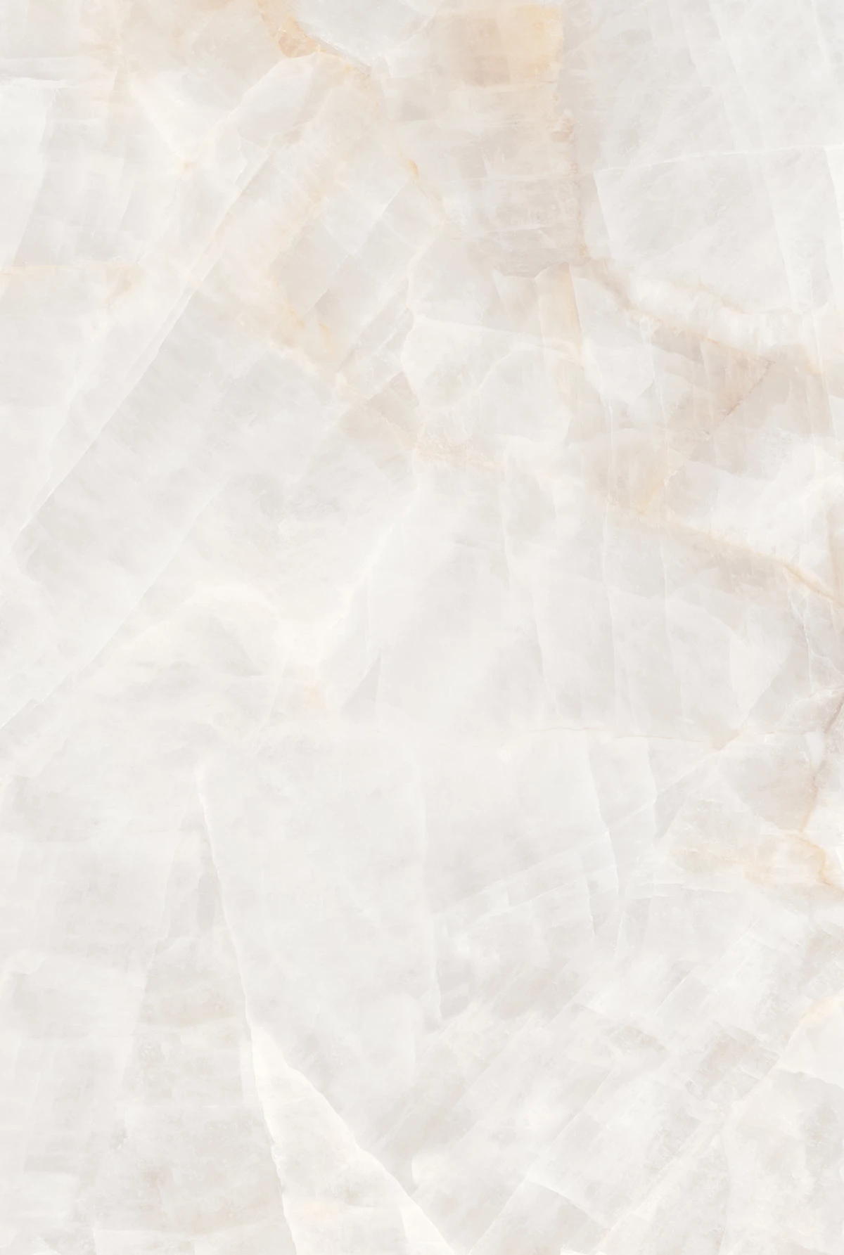 ARCADIA WHITE_02