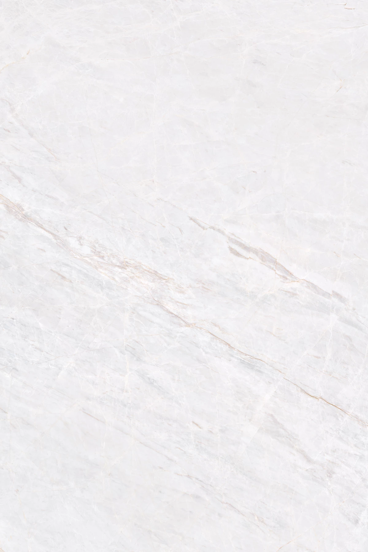 CANYON BIANCO_03
