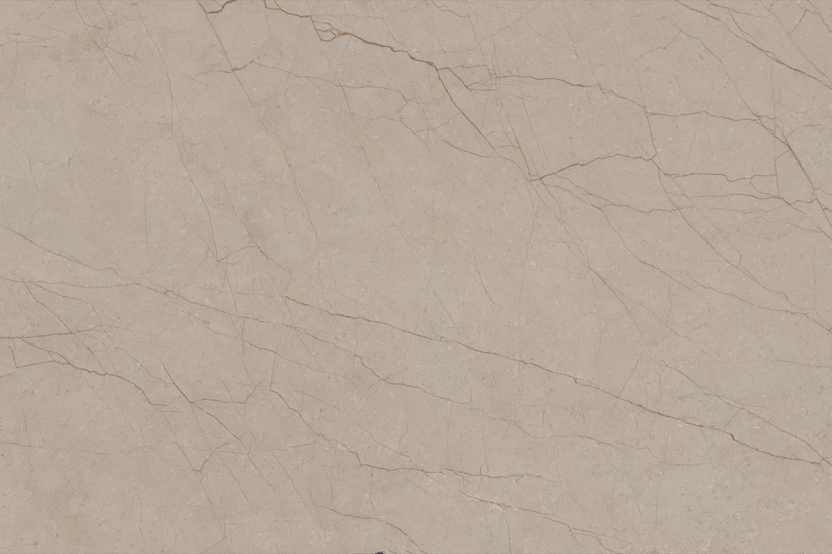 DELICE SEPIA_02
