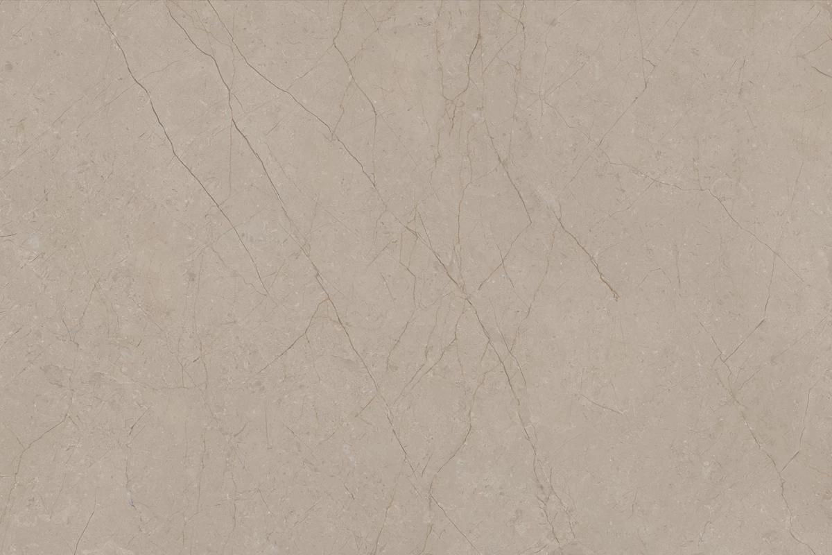 DELICE SEPIA_03
