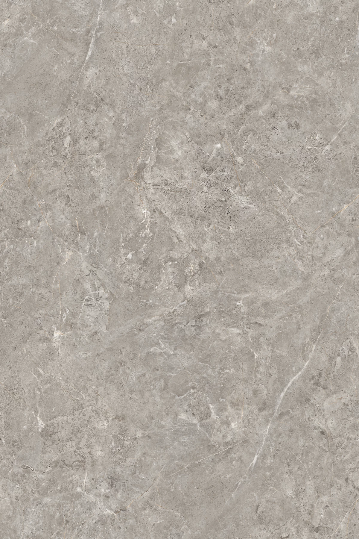 ECATE MAPLE_03