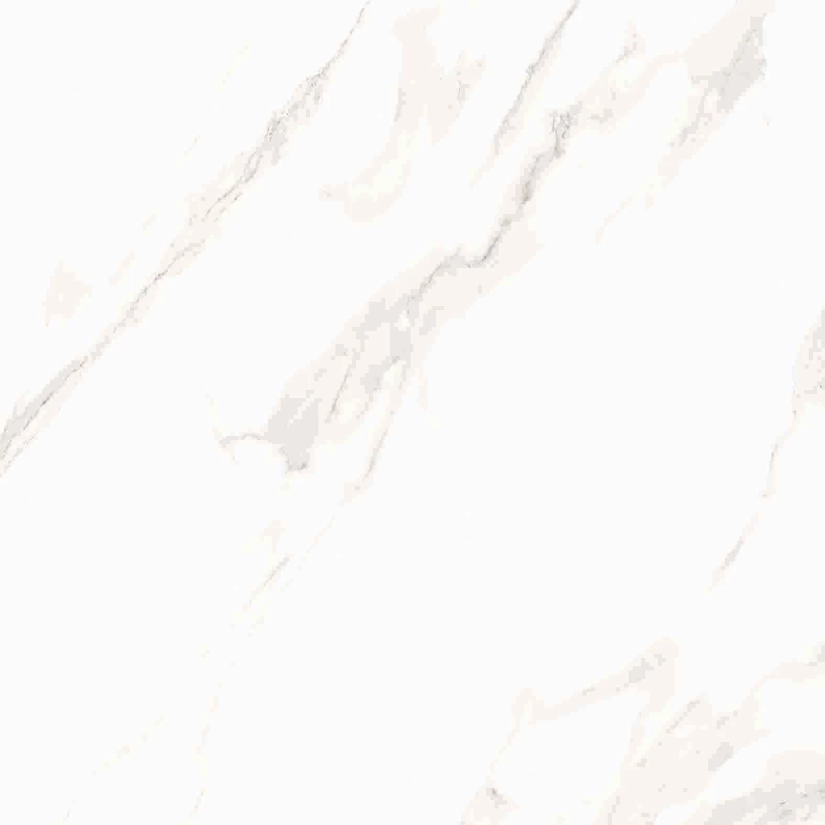 VECERA SATUARIO-2