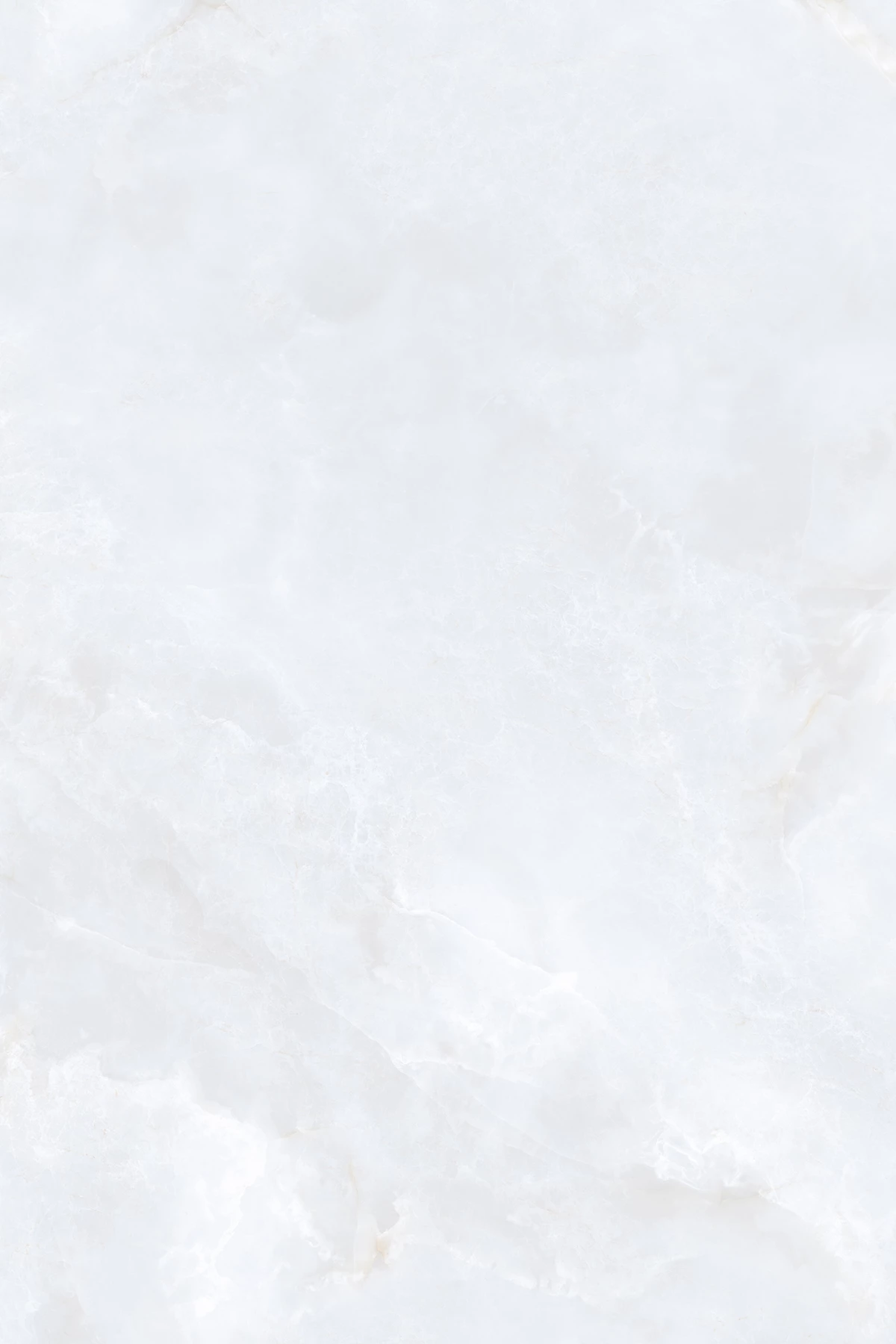 GEISHA BIANCO_03