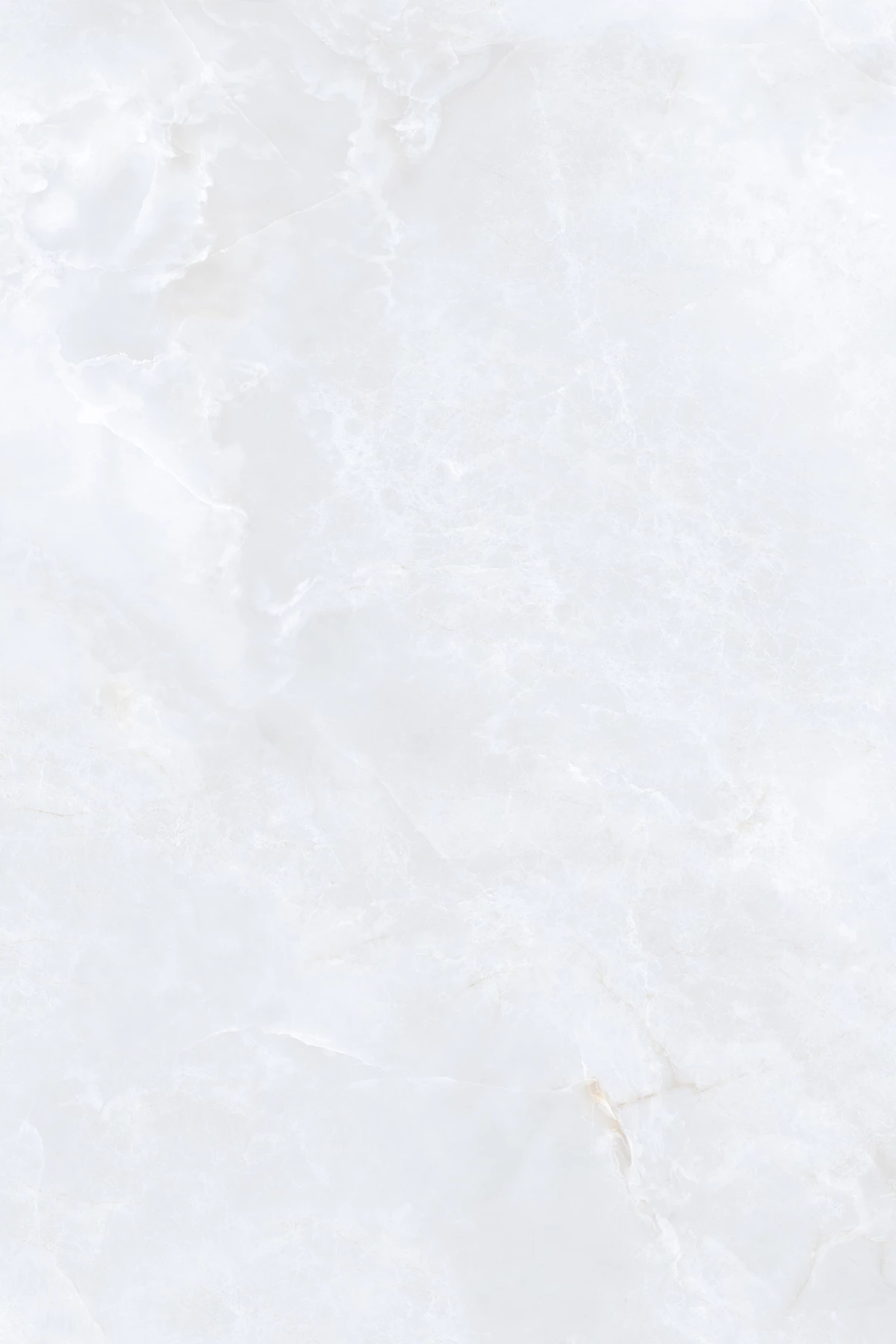 GEISHA BIANCO_02