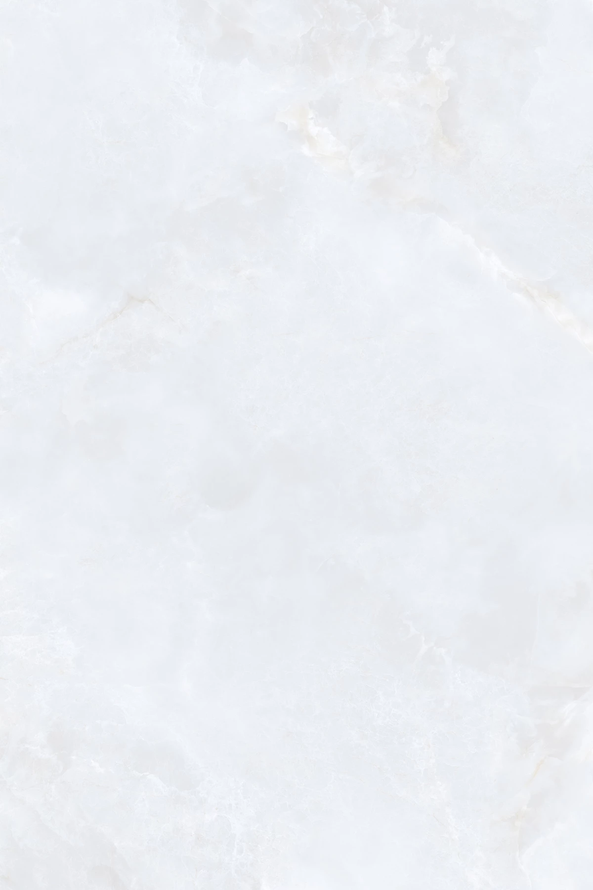 GEISHA BIANCO_04