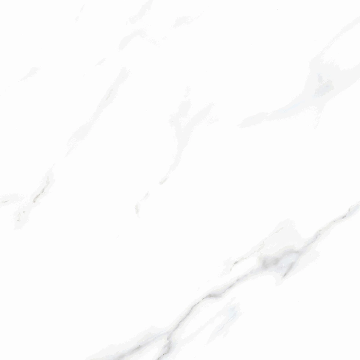 CALCUTTA WHITE P4