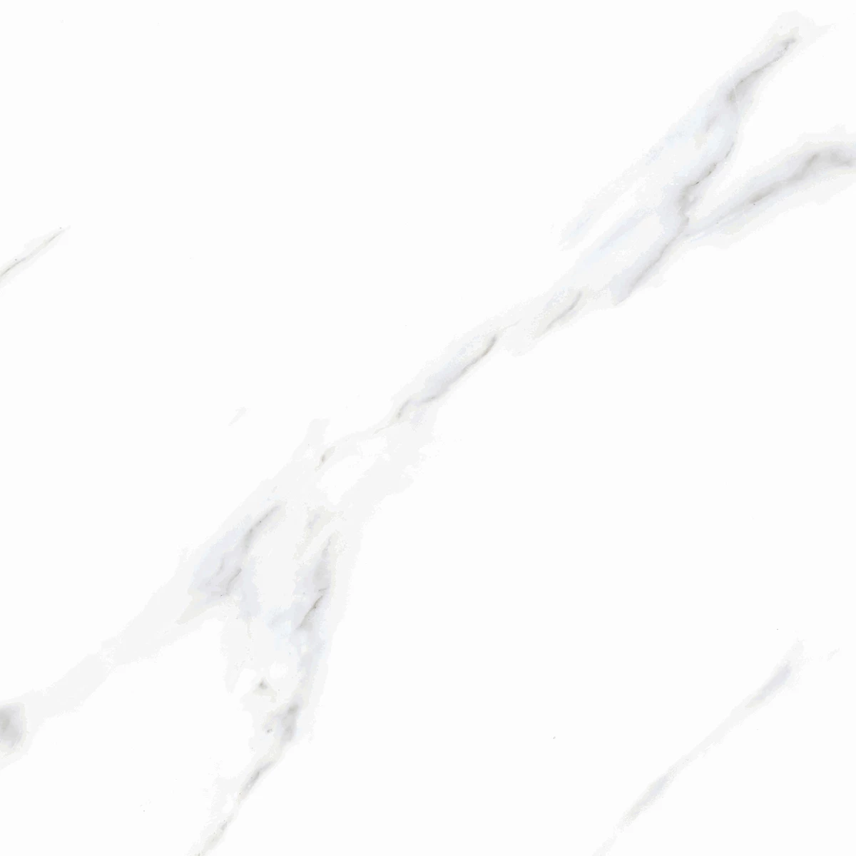 CALCUTTA WHITE P2