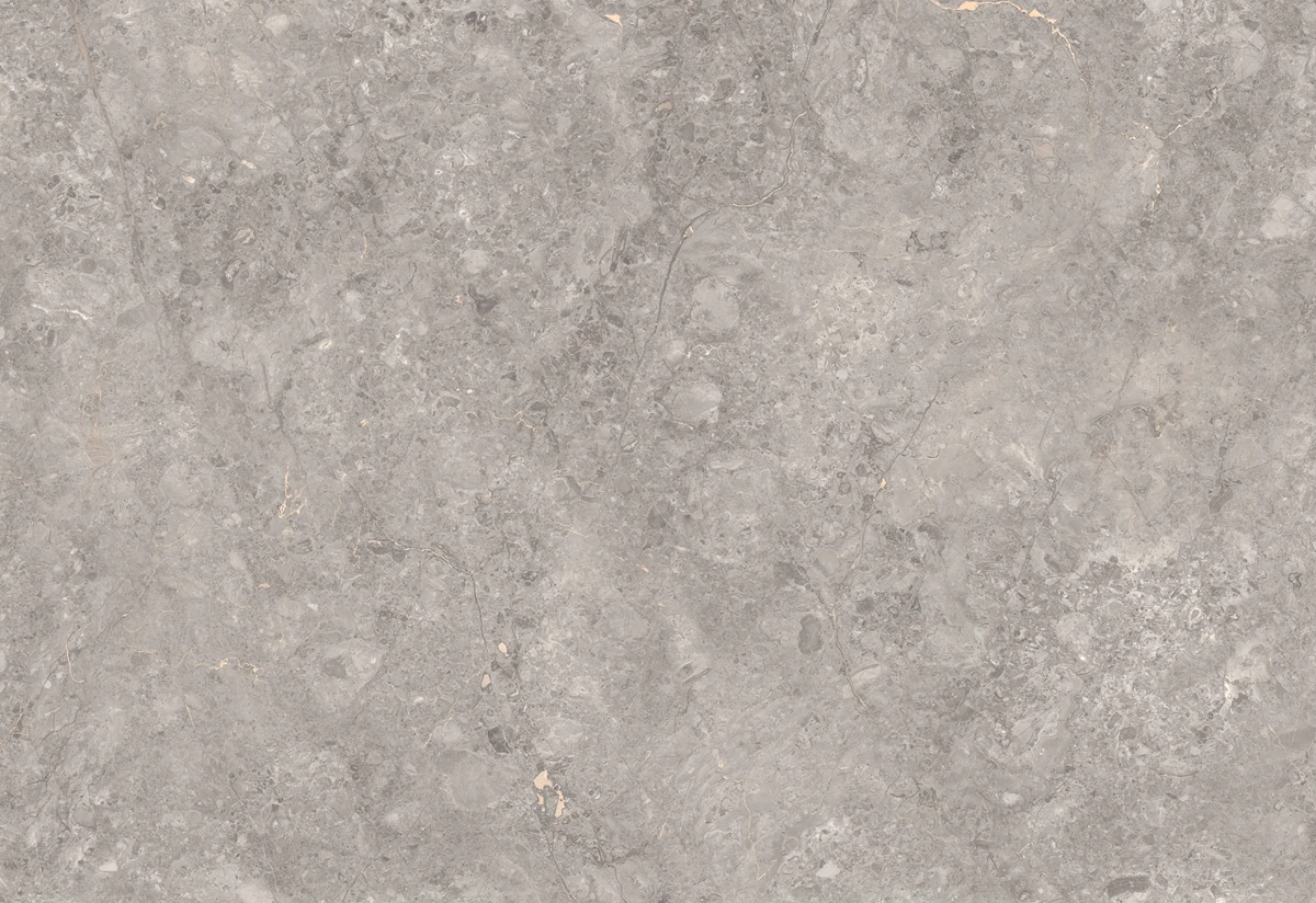 GREY WILLIAM_03