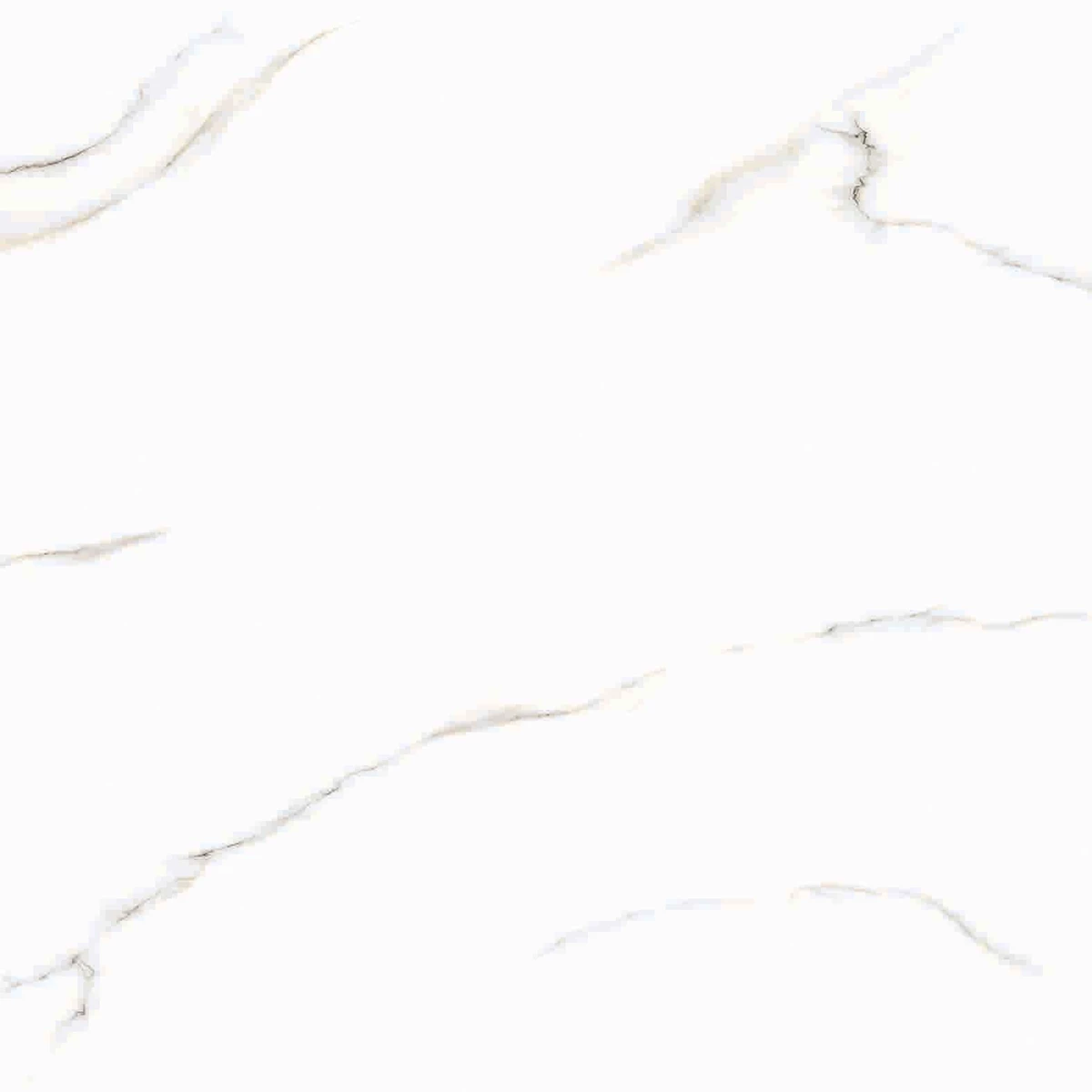 ARCTIC WHITE R2