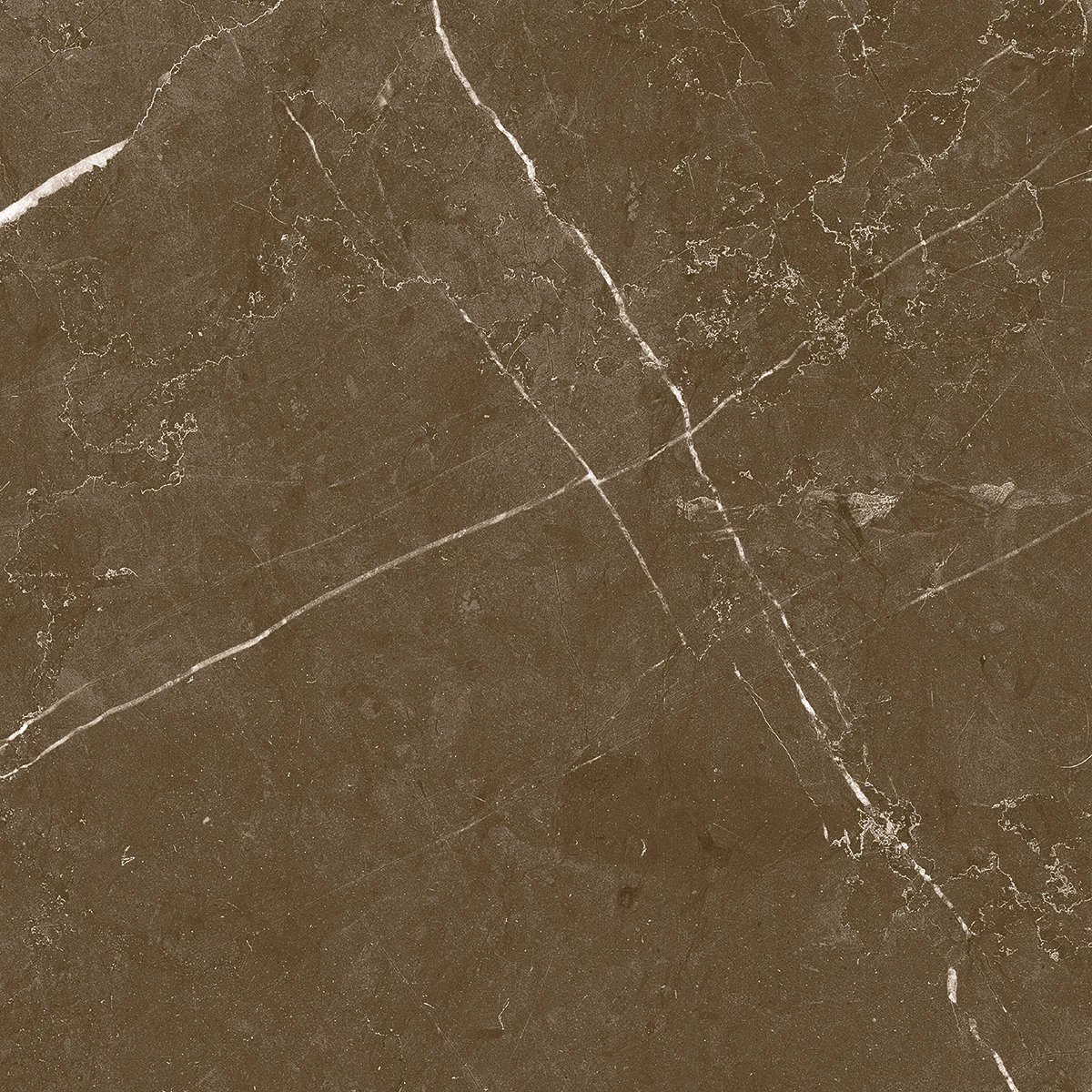 ARMANI CLARO Choco-[1]