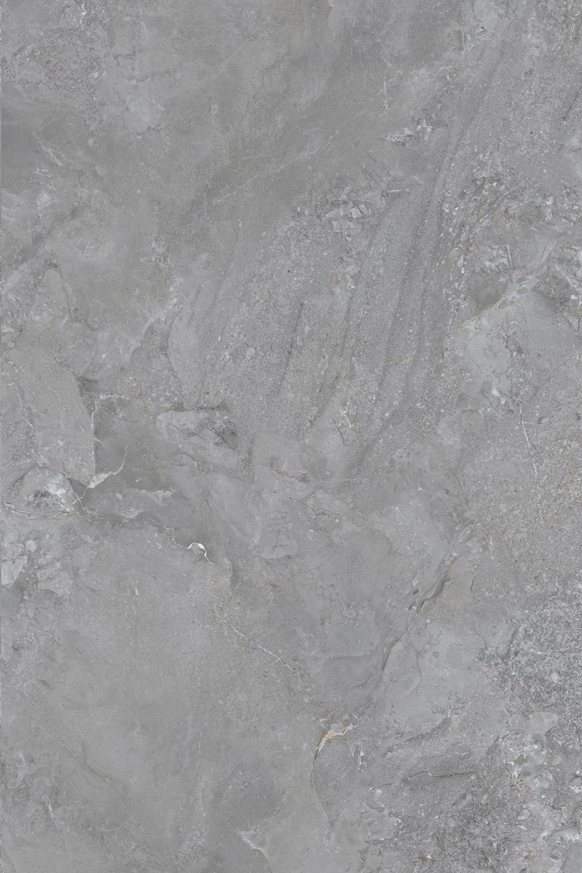 KNOX GRIS_03