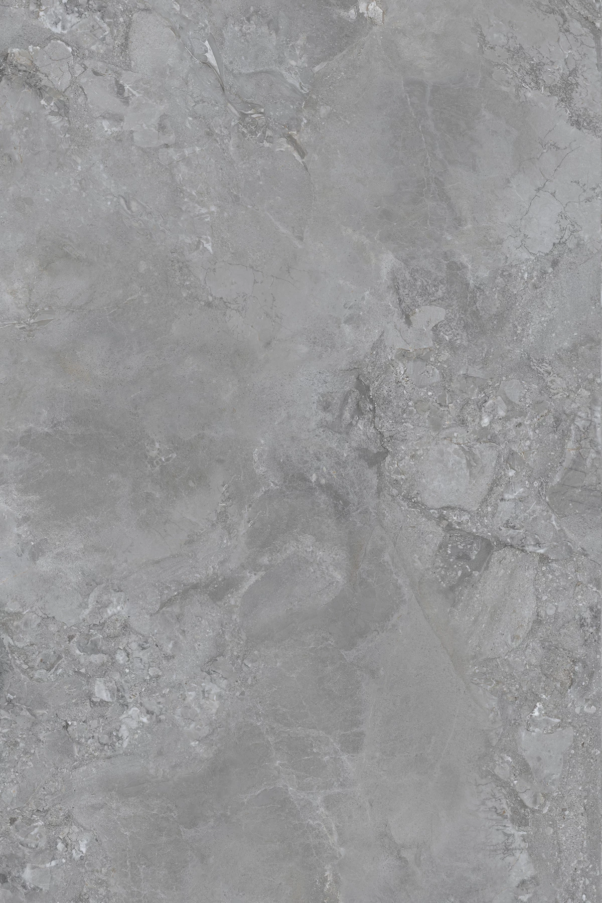 KNOX GRIS_02