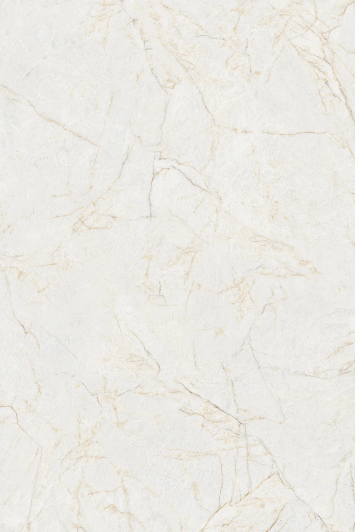 OMASK IVORY_02
