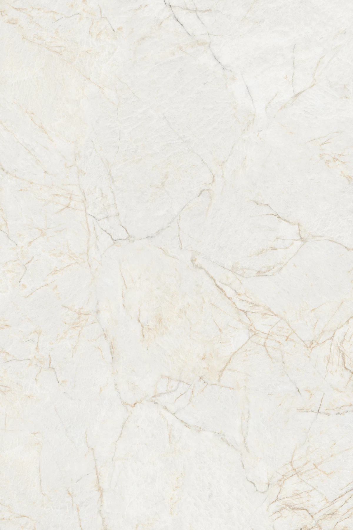 OMASK IVORY_03