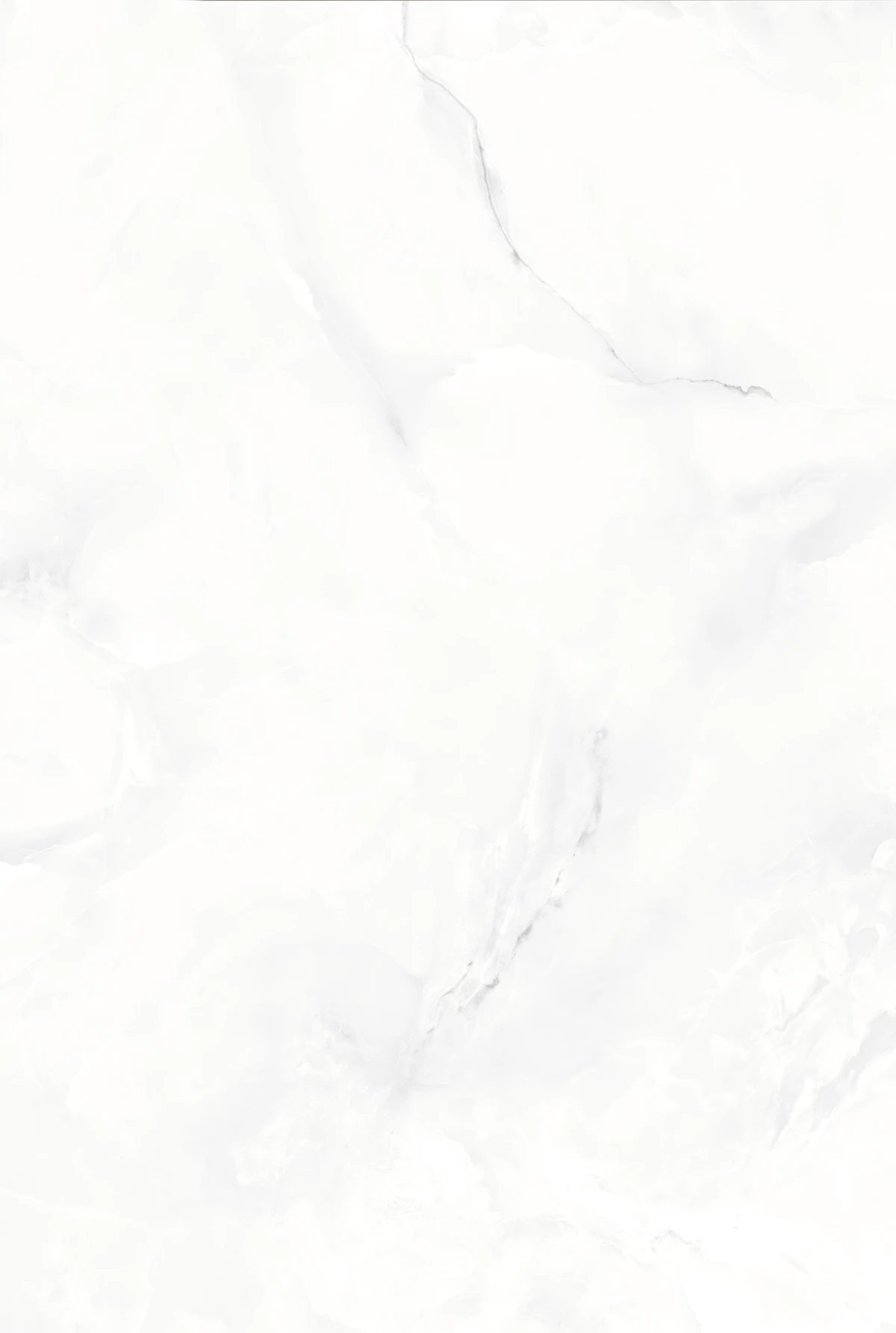 ONYX BIRCH_02