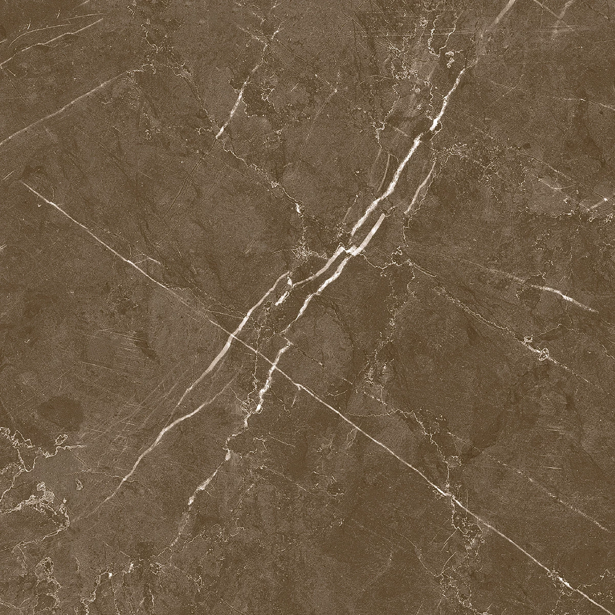 ARMANI CLARO Choco-[2]