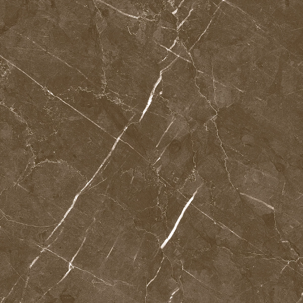 ARMANI CLARO Choco-[4]