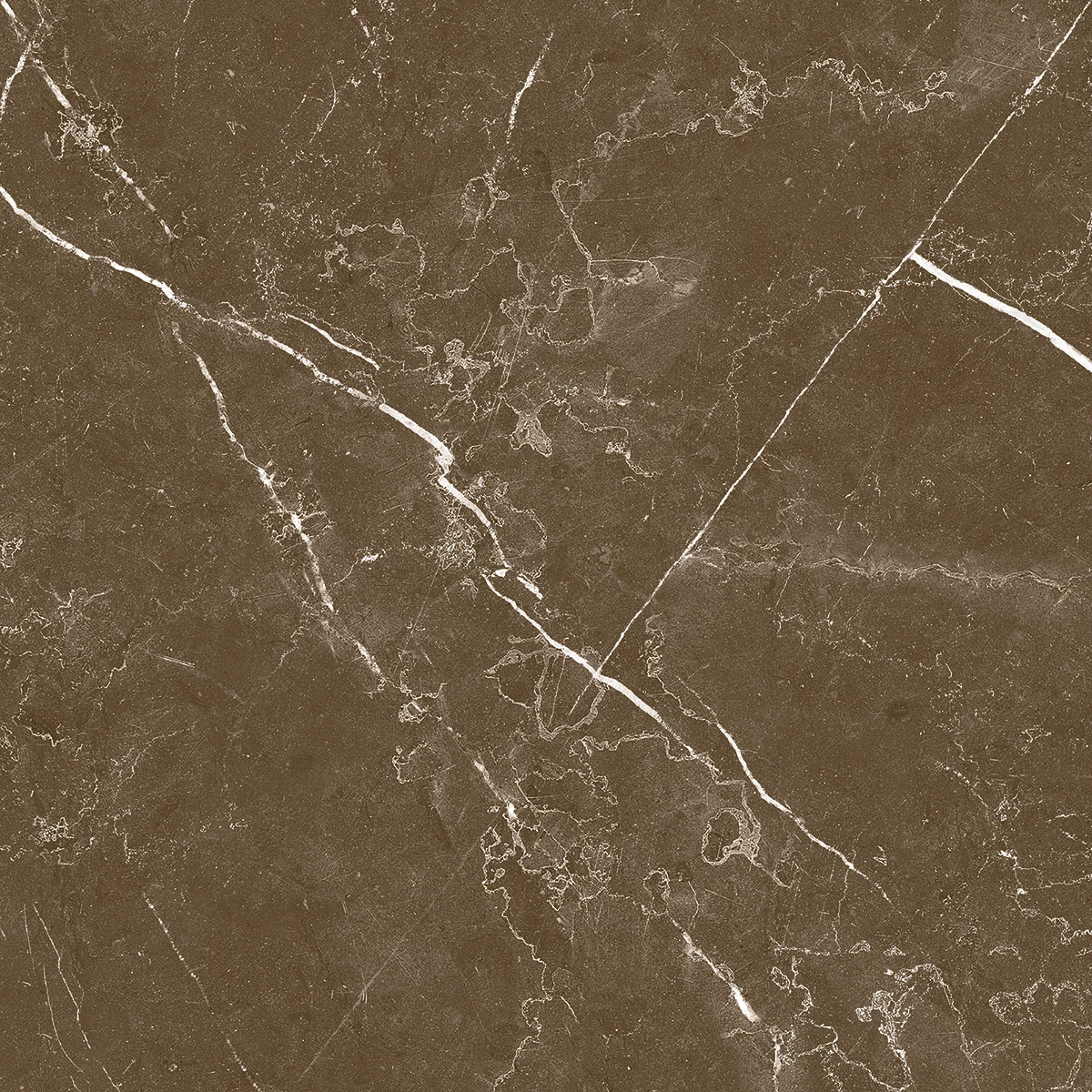 ARMANI CLARO Choco-[3]