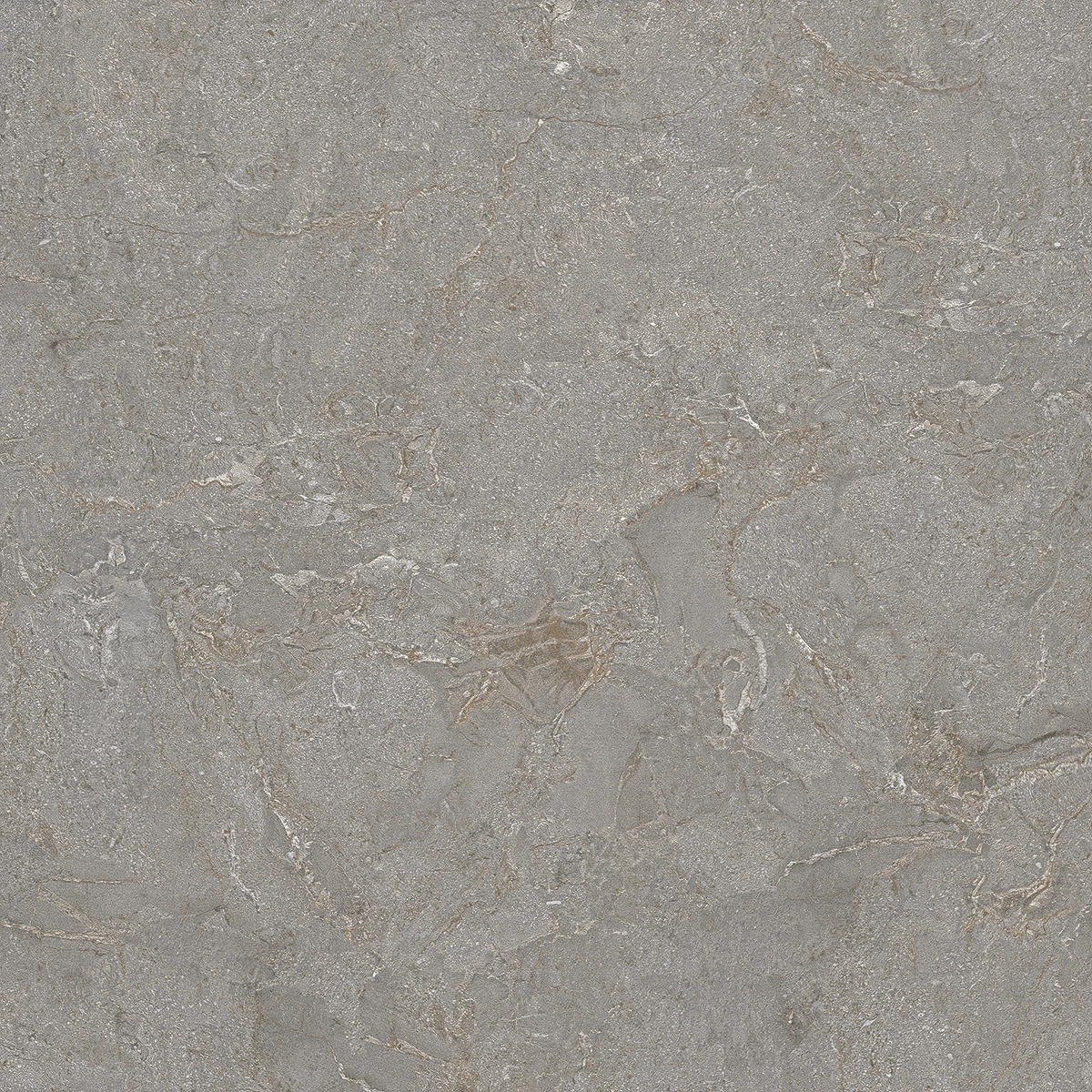 ARIZONA GRIS_P3