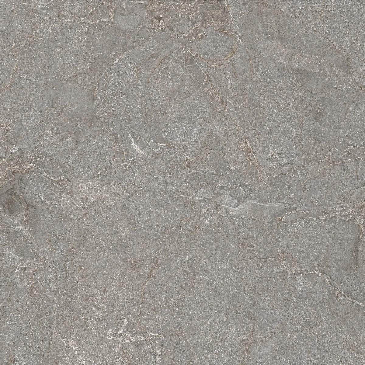 ARIZONA GRIS_P2