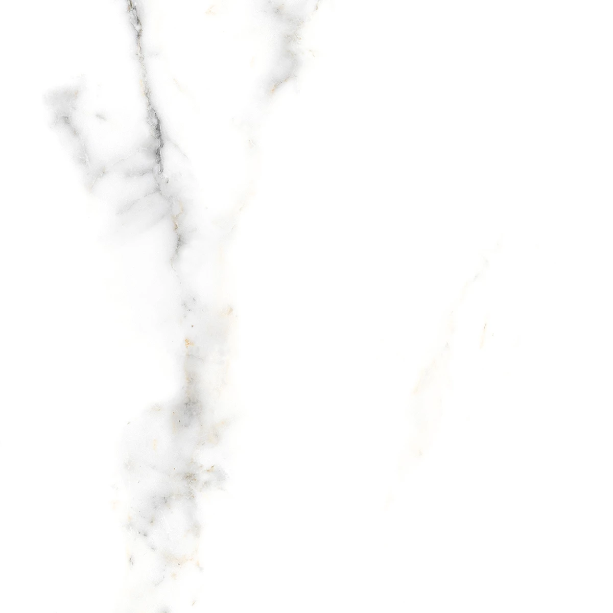 ARTIC PEARL  R3