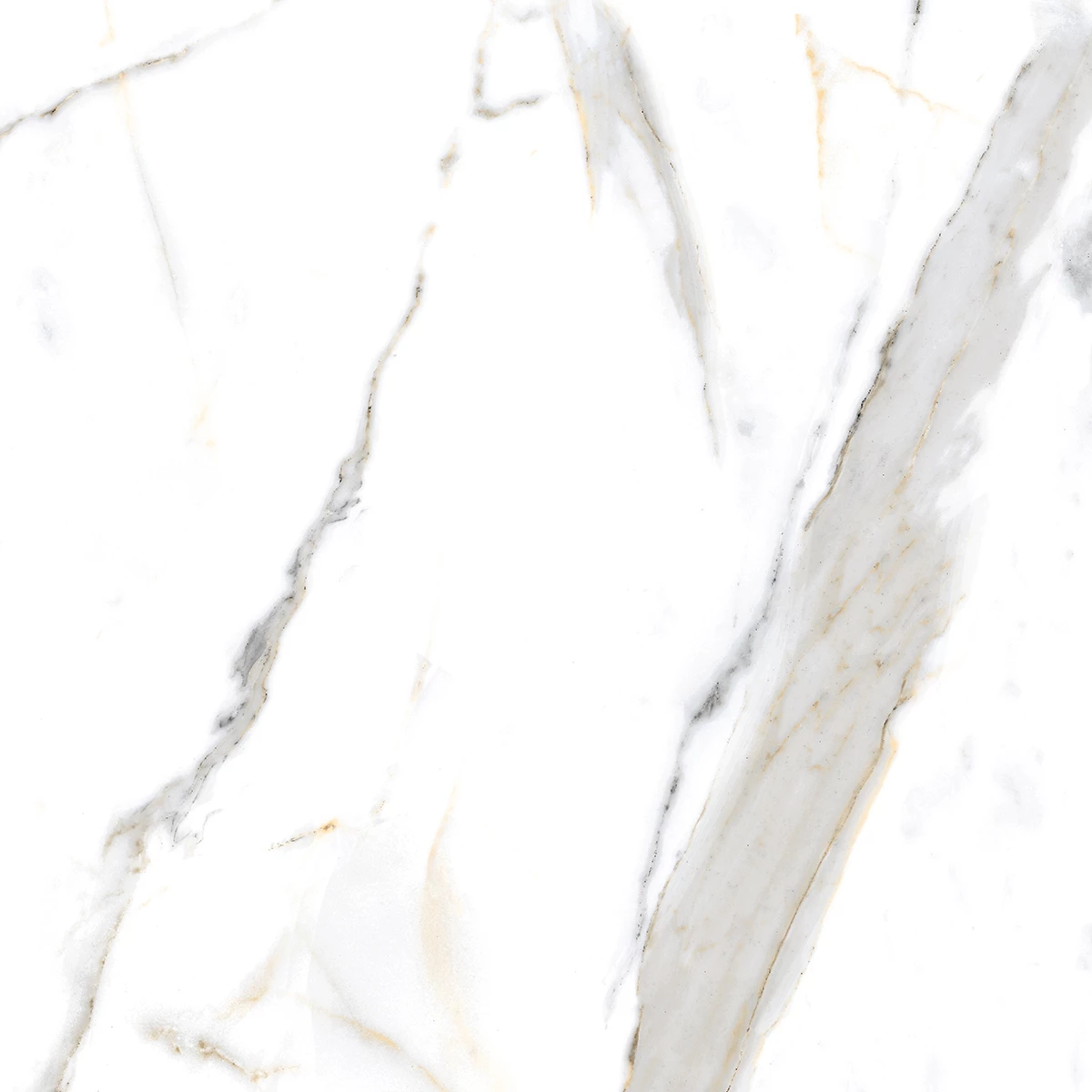 ASTER NATURAL_P4