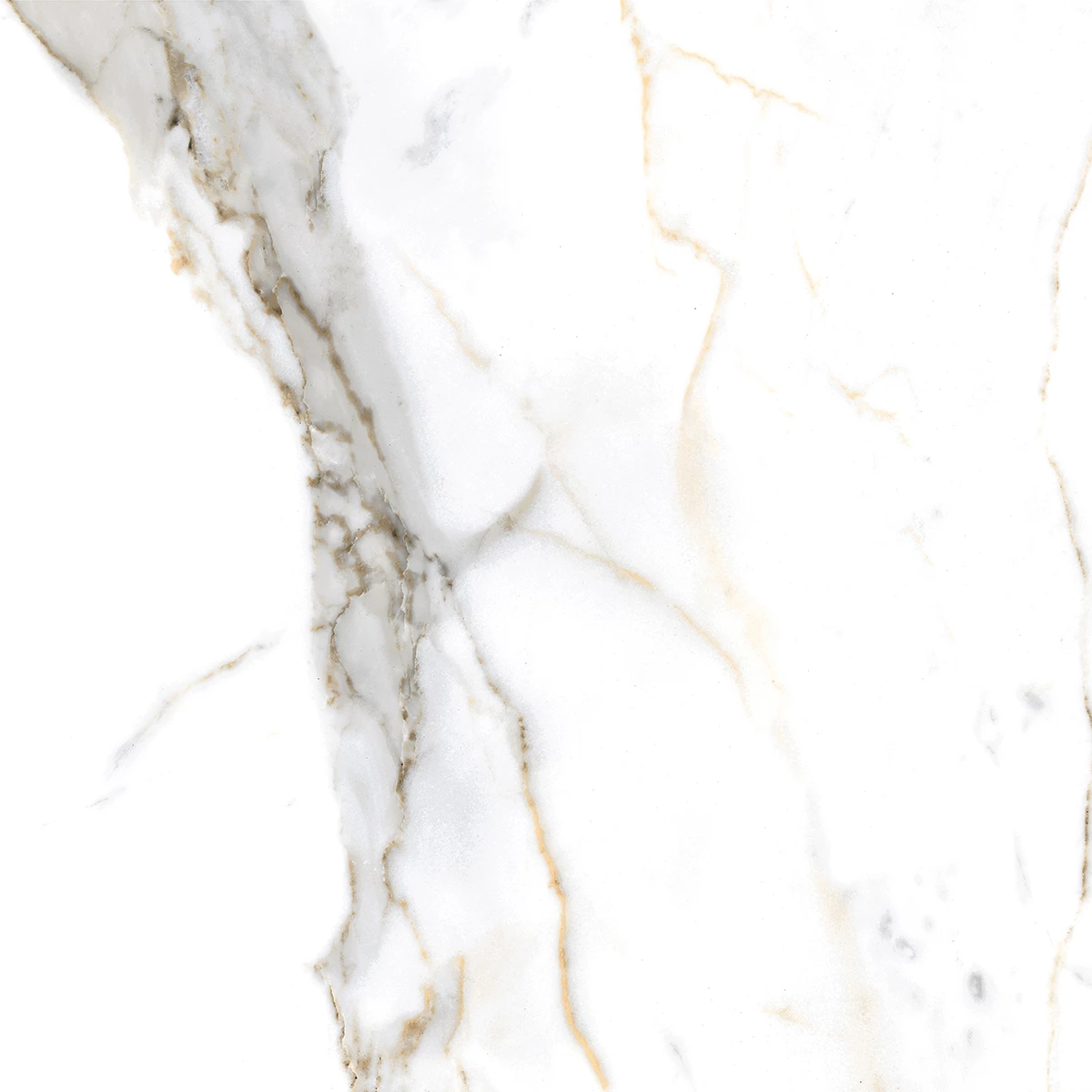 ASTER NATURAL_P3