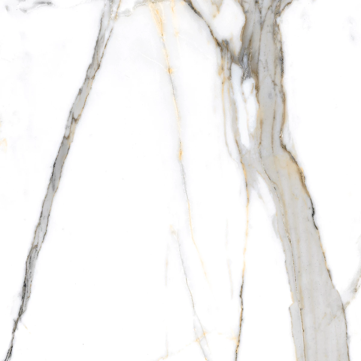 ASTER NATURAL_P2