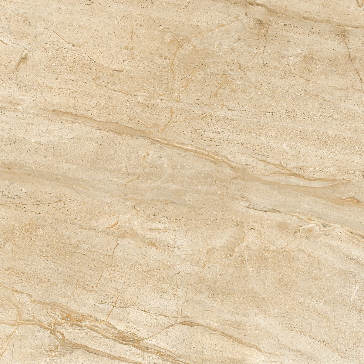 ATHENA BEIGE_P2