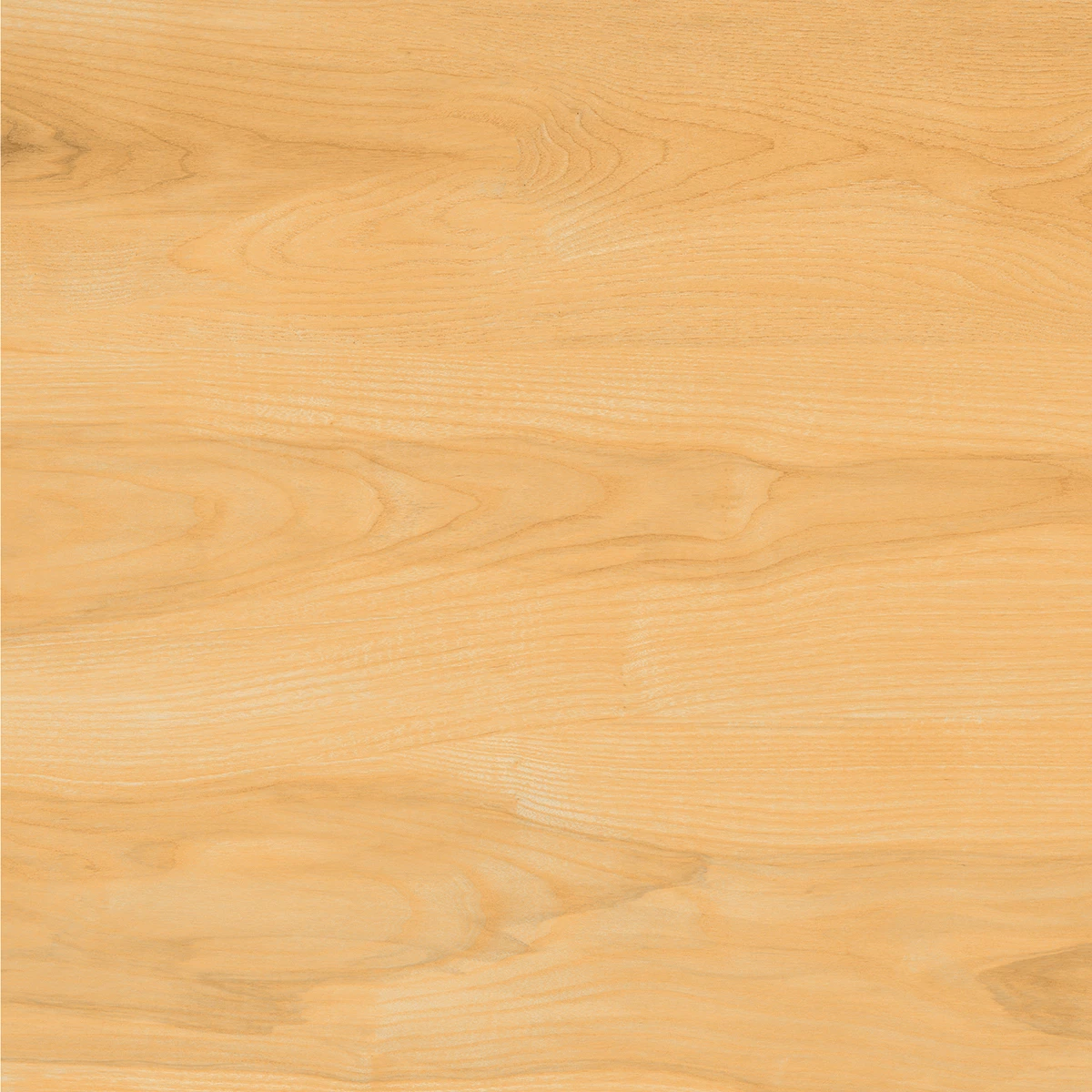 BIRCH_F2