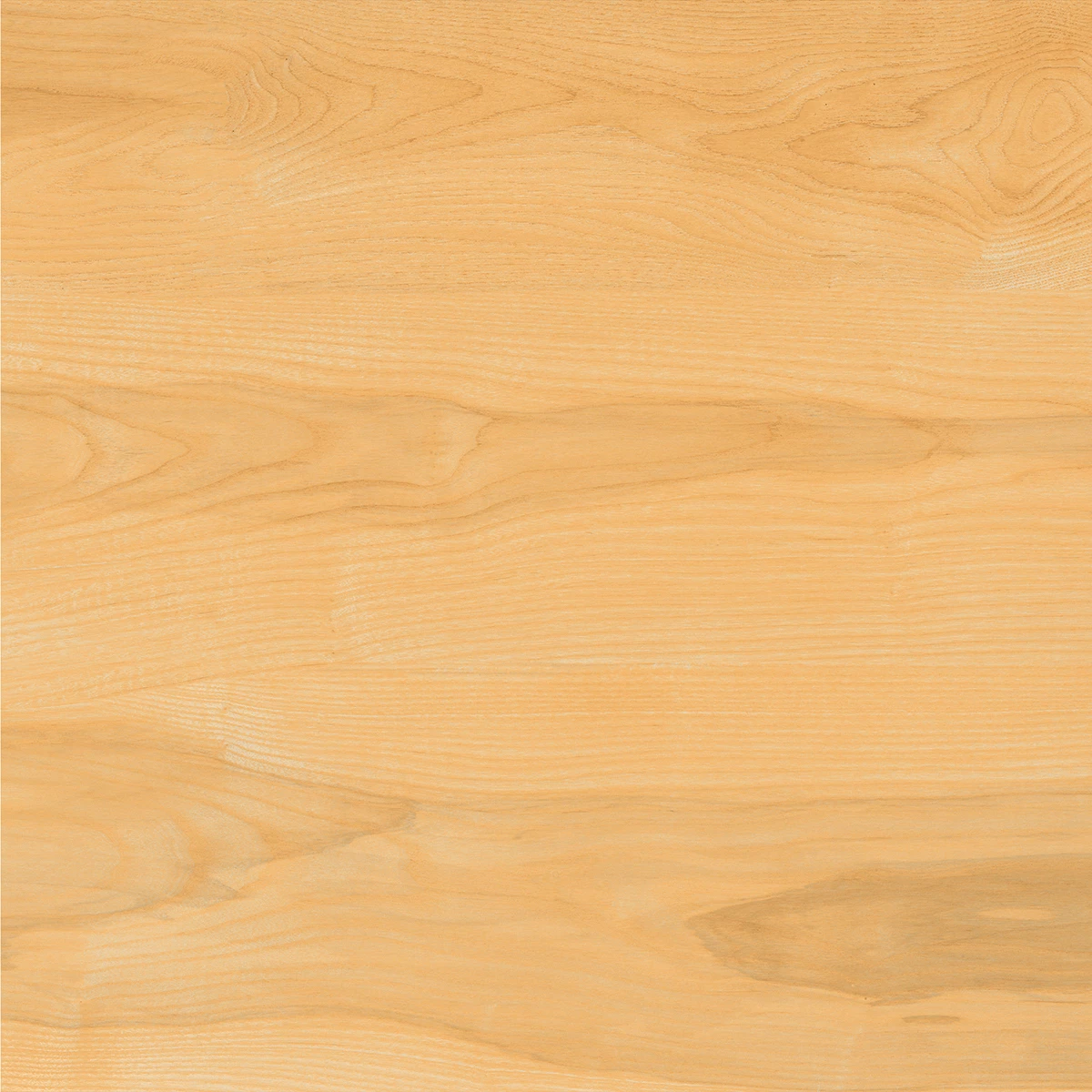 BIRCH_F4