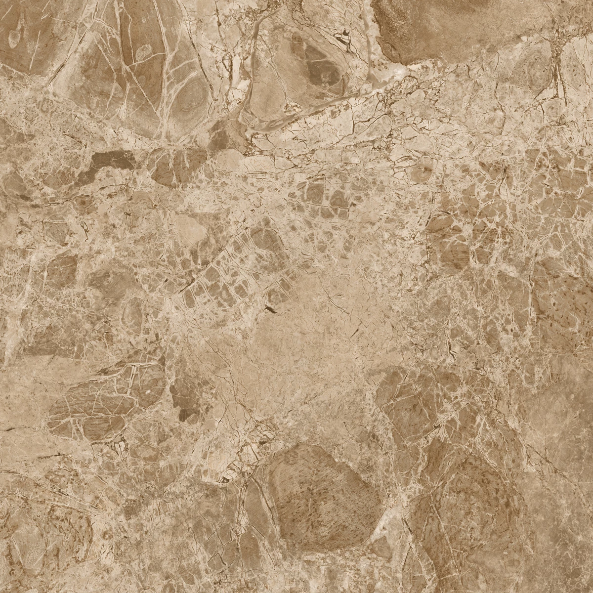 BRECCIA BROWN_P2