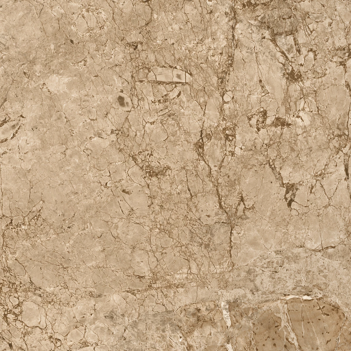 BRECCIA BROWN_P3