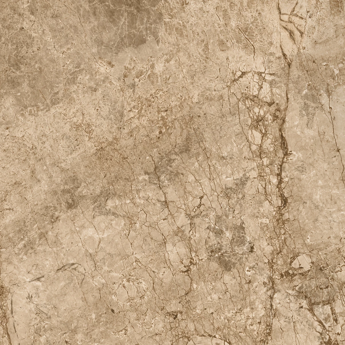 BRECCIA BROWN_P4