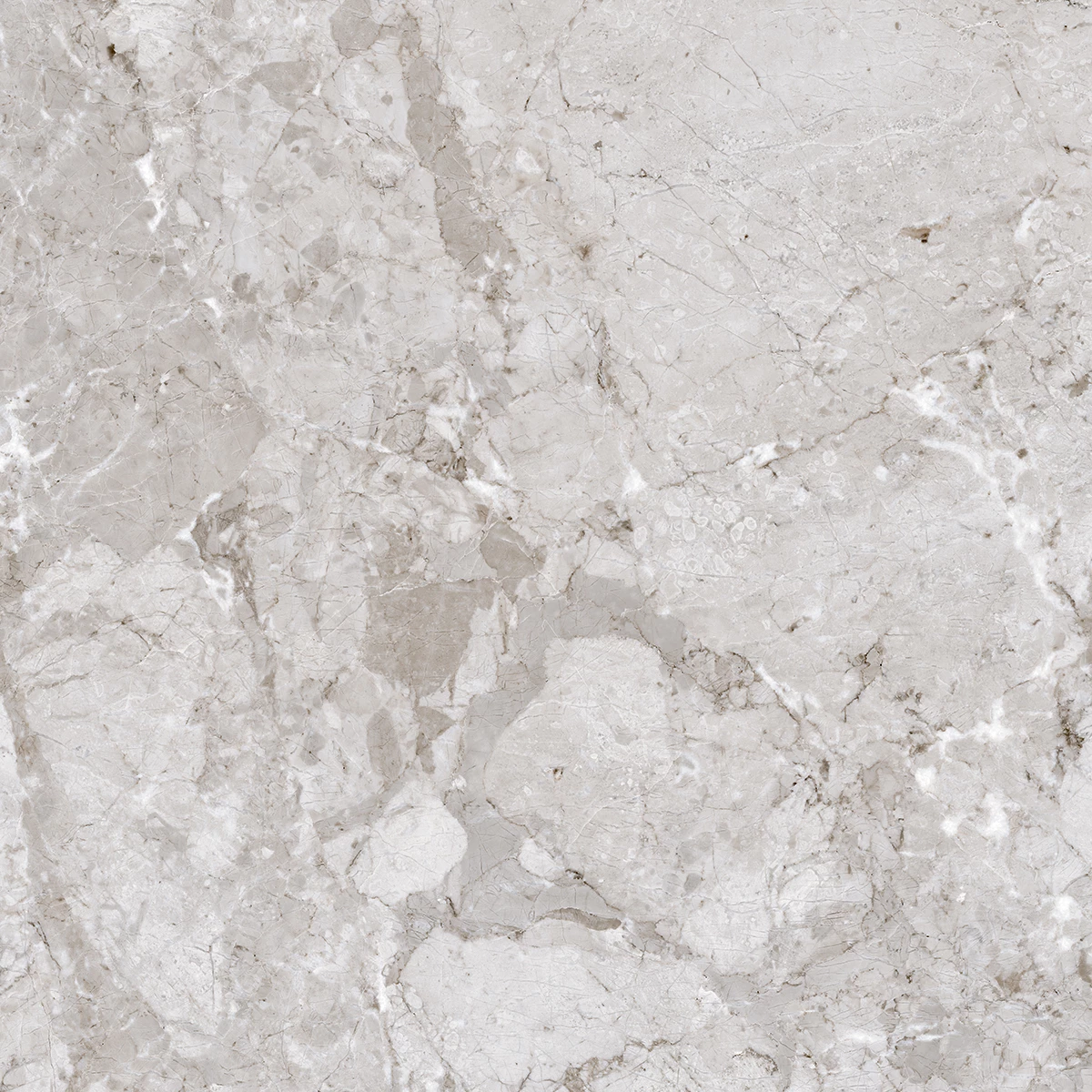 BRECCIA GRAY-P3