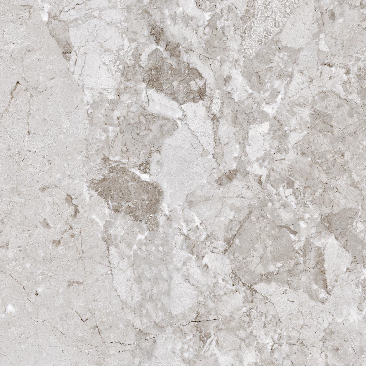 BRECCIA GRAY-P2