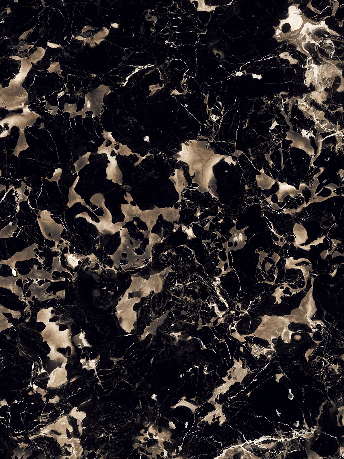 PORTORO BLACK_3