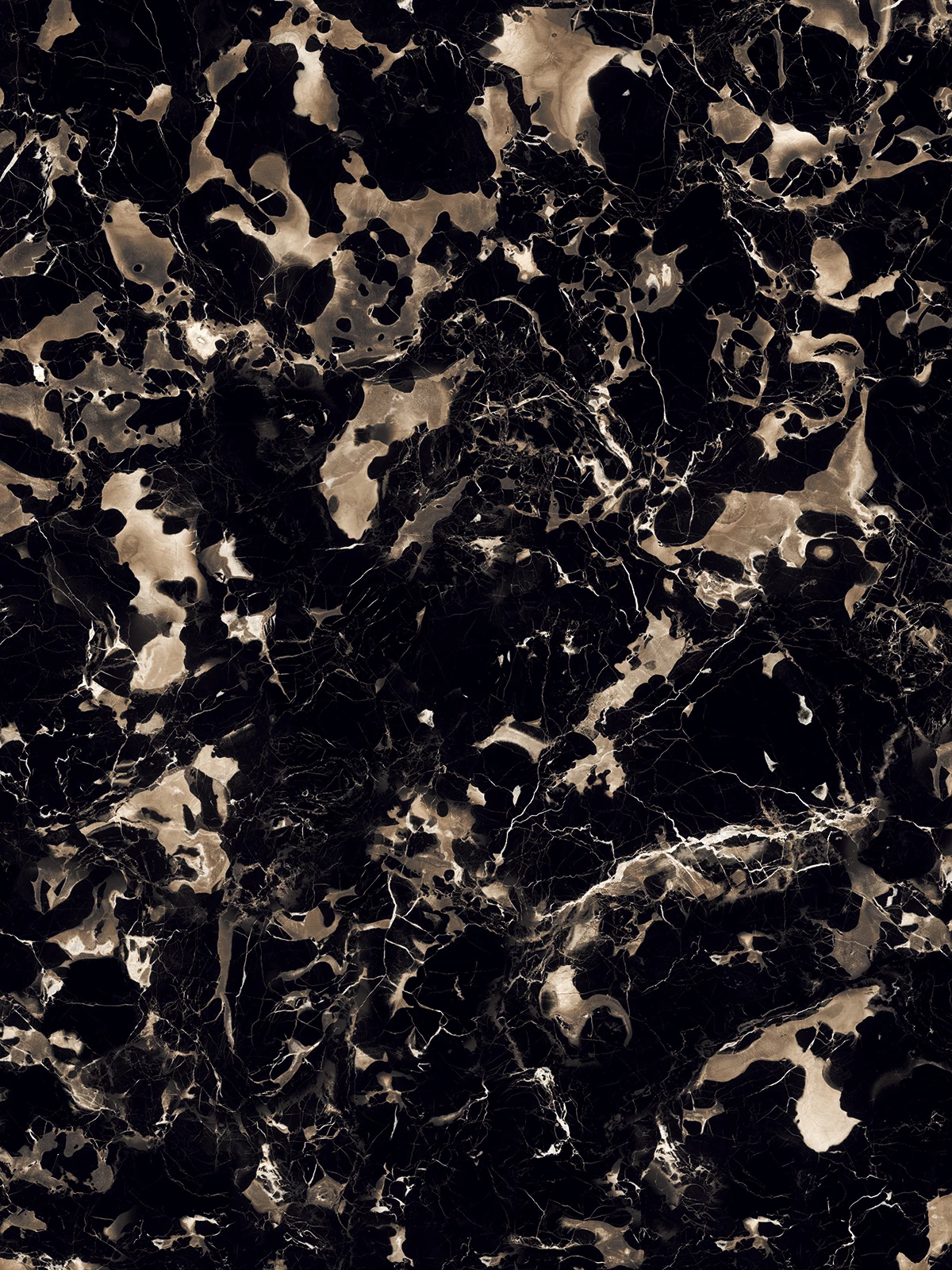 PORTORO BLACK_2