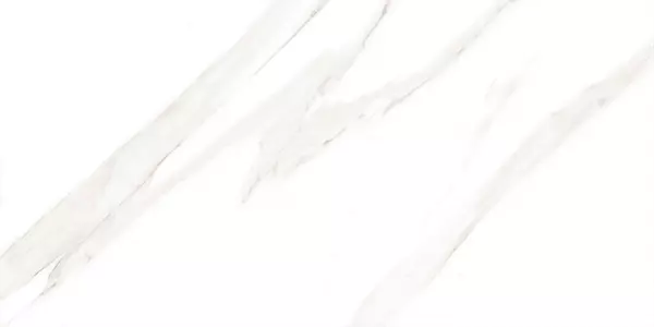 AREBIC RICO P1