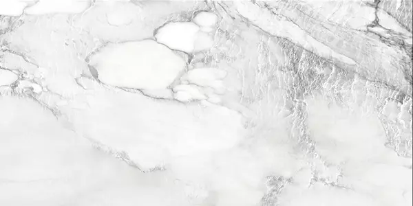 ALASKA WHITE_P4
